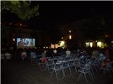 le cinéma en plein air, un pari réussi