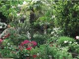 De magnifiques jardins et balcons fleuris