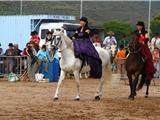 Des amazones de Six-Fours animent la première fête Camarguaise d’Hyères