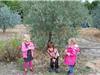 Les bambins découvrent leur arbre.