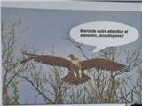 La Ligue de Protection des Oiseaux (LPO) célèbre la Journée Mondiale des Zones Humides