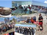 Les enfants sauront tout sur l'école de la mer