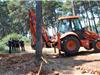 Au Bois du Colombet, le maire avec élus et agents communaux a fait réaliser des tranchées, pour éviter d'autres arrivées.