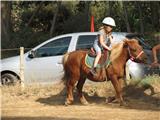 Le Cheval était  à la fête dimanche