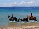 Drôles de baigneurs plage du Cros!