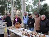 A la cueillette des champignons avec les Amis de Janas