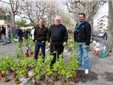 La foire aux plants 2014 : un petit goût de raisin