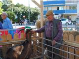 Une ferme pédagogique aux Lônes