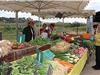 Légumes de qualité fraîchement cueillis le matin même, mini-fermes : une aubaine pour petits et grands. 