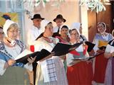 Quand la chorale Ouliéulo Canto chante la vie rurale