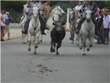 Ambiance d’enfer à la Feria des Embiez