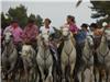 Les Gardians encadrent les taureaux