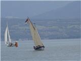 Les pointus de Sanary naviguent sur le Lac Léman