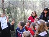 Aujourd'hui, l'école... c'était dans la forêt!