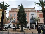 Le sapin de Noël est en place !