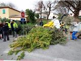 Eco-Broyage des végétaux Quartier la Pétugue