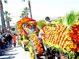 50.000 fleurs fraîches décoreront les chars du Corso Fleuri, ce dimanche