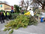 Six-Fours: collecte et broyage des déchets verts