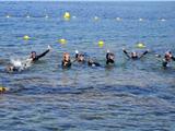 Les CM2 de l'école J.Michel Cousteau en plongée à Portissol