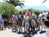 Feria des Embiez : une énorme fête !