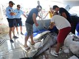 Record battu à Sanary avec un Thon rouge de 216 kg