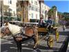 promenades en calèches