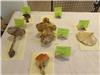 Champignons 'amis' et comestibles