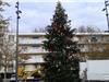 Le grand sapin de la place des Poilus