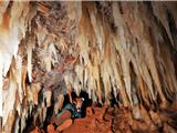 Les secrets du monde souterrain illuminent le Vieux Moulin