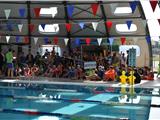 La piscine de Six-Fours reçoit le championnat départemental UNSS de natation