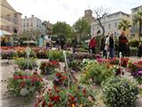 Ce samedi, la place Jean Jaurès accueille la 32ème Foire aux plants