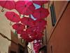 La canopée de parapluies dans les rues de Sanary.