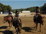 Des vacances sous le signe du cheval