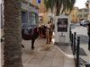 Les poneys attendent avec impatience la fin du spectacle pour les premières balades. 