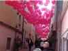 Ballons roses ou ballons de rosé ?