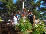 Le club Inner Wheel de Bandol oeuvre pour nos aînés.