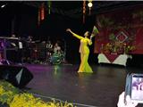 Une soirée de gala digne de la plus grande fête vietnamienne de l'année