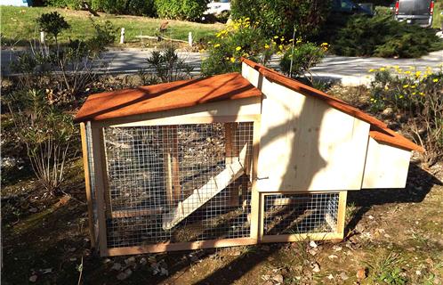 Toulon Des Poules Pour Réduire Ses Déchets