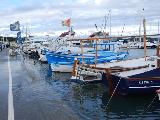 Marée haute et basse pression, le port du Brusc déborde.