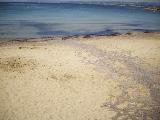 Baignade interdite sur les plages du Cros et des Charmettes