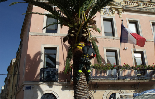 Devant la mairie de Sanary