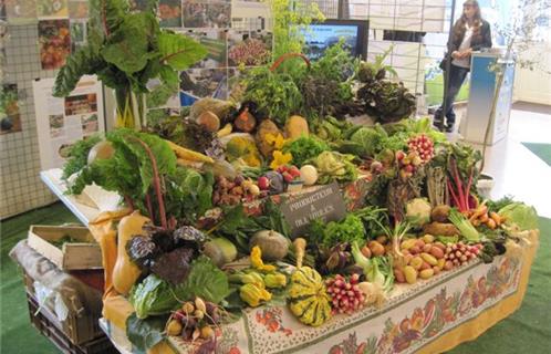 Un jardin potacher représentatif du savoir faire agricole ollioulais