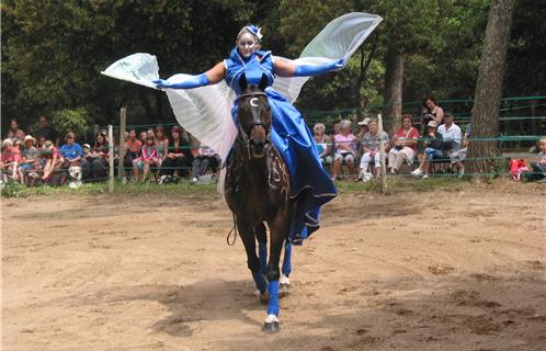 Les Belles de Mai en spectacle ce dimanche