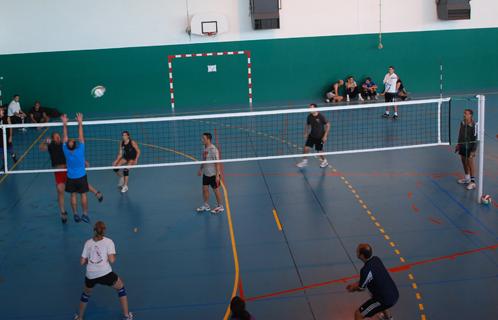 Une journée dédiée au volley-ball au gymnase Perpès.