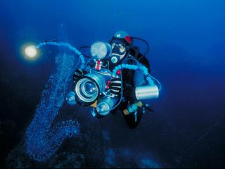 Nicolas entrain de filmer un beau spécimen de plancton au large des Embiez. (Photo: D. Pascal)