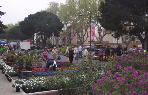 La foire aux plants se déroule tout le week-end.