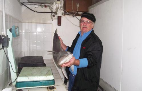 Daniel Hildebrandt a pêché un petit requin, non loin des côtes.