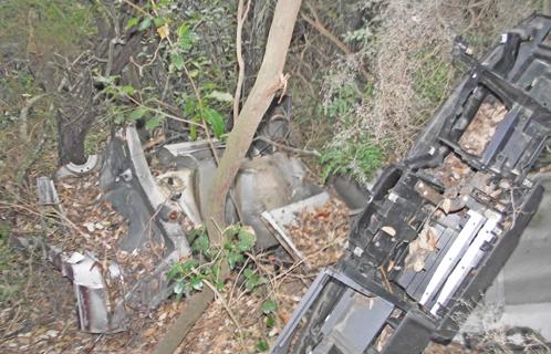 De belles carcasses sur un sentier de Notre dame du mai.