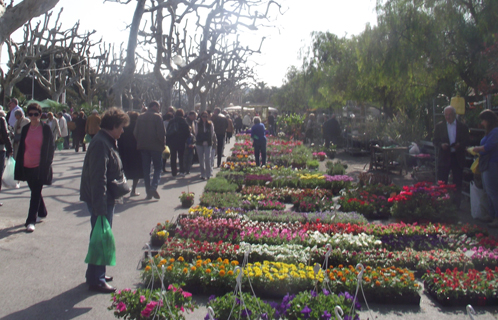 La foire aux plants vous attend jusqu'à dimanche.