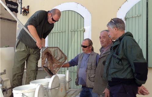 L'agent de développement M.Martino (en haut), et le président de l'AAPPMA "Le Gardon de Toulon", M. Poggioli (premier plan, à droite), préparent le lâcher de truite. 